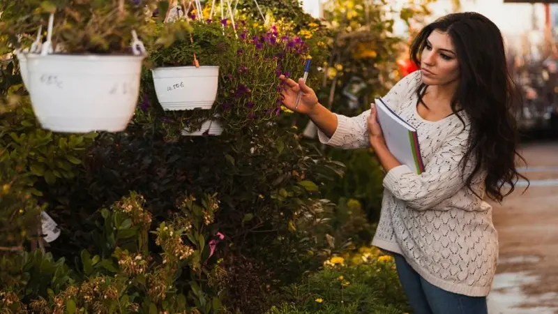 Garden Pots